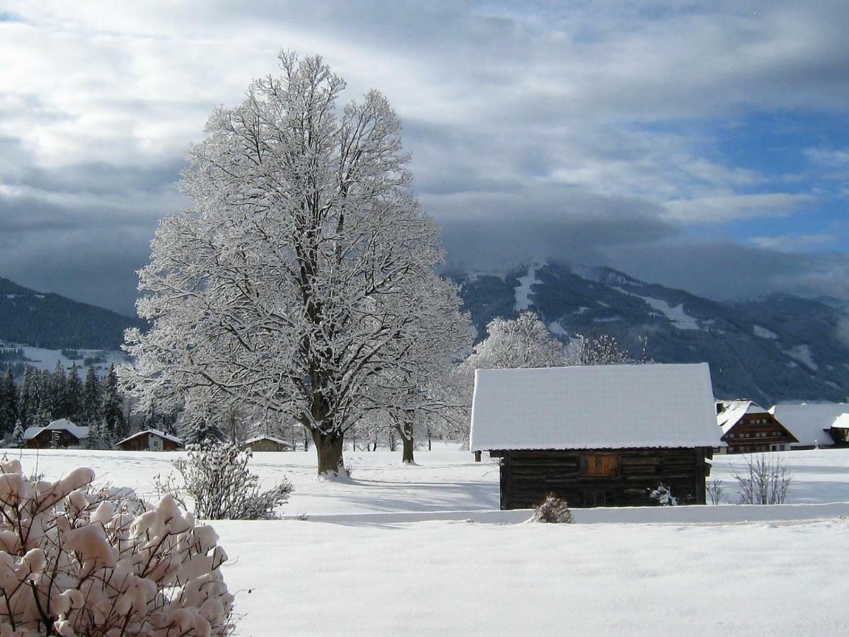 Apartamento Blockhaus Royer Ramsau am Dachstein Exterior foto
